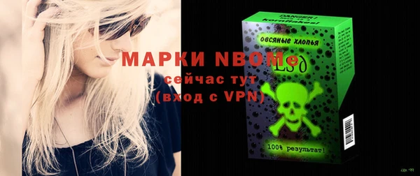 мдпв Новозыбков