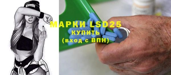 мдпв Новозыбков