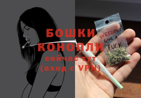 мдпв Новозыбков