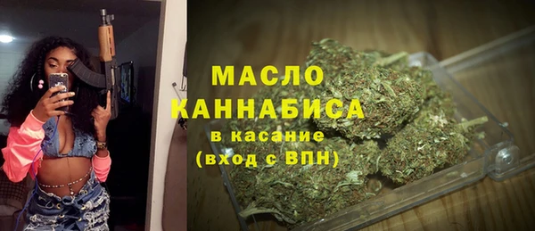 мдпв Новозыбков