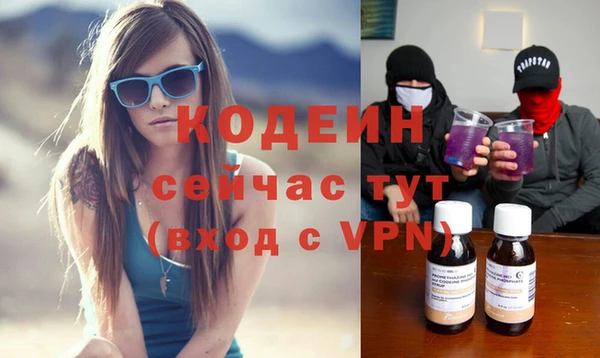 мдпв Новозыбков