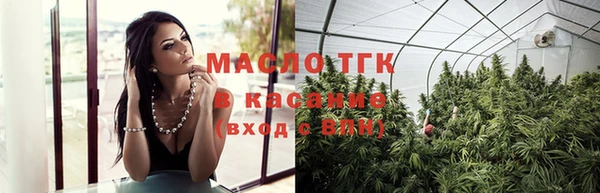 мдпв Новозыбков