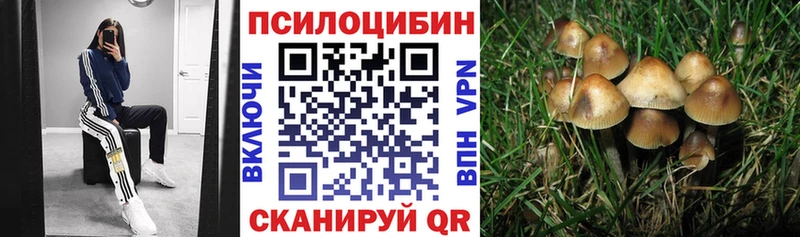 Купить где  Улан-Удэ  Галлюциногенные грибы Psilocybe 